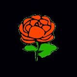 Абакан. Новости СМИ Хакасии