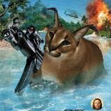 Оружейное, околовоенное и другое.