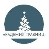 🍁♡Академия травниц♡ || Школа травниц 🦊🍂