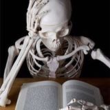 Все тесты тут 1-4курс ик/пк# Chat