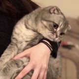 أجواء إسلامية