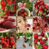 пиши, ч смотришь