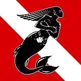 𝗥𝗜𝗚𝗔 𝗕𝗔𝗬 🧜🏻♀ 𝙉𝙀𝙒𝙎⚡️