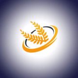 Зерно🌾Рынок