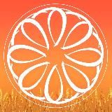 Татьяна Аврова. Любимые рецепты и не только