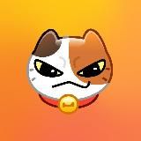 Котопёс - Котики и не только