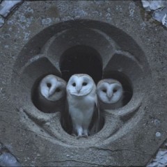 Навь. Комментарии