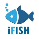 ifish云鱼官方群