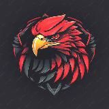 24ExPay / Обмен Криптовалюты