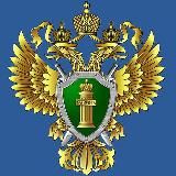 Прокуратура Калининградской области