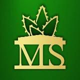 🌵ministerstvo_sukkulentov🌵