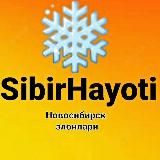 SIBIR HAYOTI | Сибир Хайоти 🇷🇺 🇺🇿
