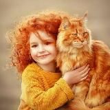 Всё о кошках 🐾✨