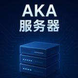 AKA 稳定服务器|高防CDN|全球节点|企业级性能