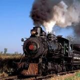 🚂6️⃣其他小众综合(动漫|熟女少妇|孕期哺乳|猎奇重口味|SM|迷玩|霸凌)