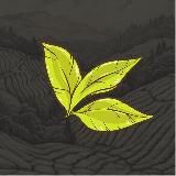 Tea Farm - Новости Чайной Фермы