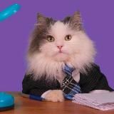 ссоня 🪳❤️🩹