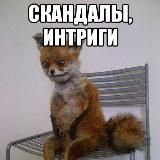 скандалы интриги расследования