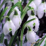 Канал unibbyy💕