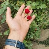 Нашиды от Alievich_m