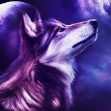 HIGHLYRICS 🐺 | Развитие | Мотивация | Осознанность