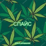 Спайс