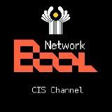 DeepSafe Official CIS