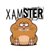 XamSterBet