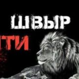 𝐍𝐄𝐖 𝐀𝐍𝐓𝐈𝐒𝐡𝐕𝐘𝐑 🛡