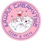 КАНАЛ «СИБАНУТЫЕ» НОВОСТИ 🗞️