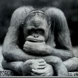 🧠Мышление здоровья. Канал, меняющий установки 🦍