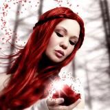 🦊_rizhiklenok_🦊