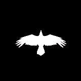 Белый Ворон