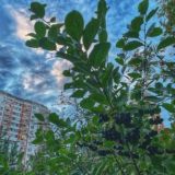 Брёхово 🏠 г.о Химки Юрлово Митино дальнее