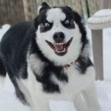 AV🔞国产|成人|偷拍