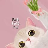 Buketerry | Мелитополь