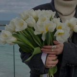 PROinsta | раскрутка