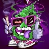 Твердый KUPIT