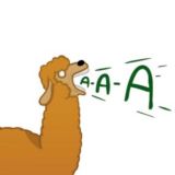 Top work memes by Koltun & Yan