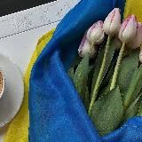 Пісні + фільми/серіали❤️🔥