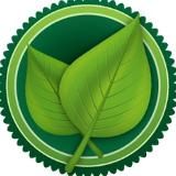 Путь к Здоровью: Советы и Рецепты 🌱