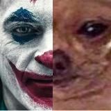 muar летхимкукович