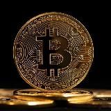 Трейдинг Сигналы Бесплатно | Трейдер Бесплатные прогнозы