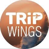 Tripwings