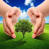 💜ЭкоЛюди и Элланиш