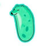 Биология по мемам