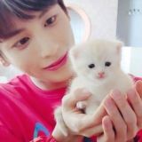 ❤︎ ’ тэминем — theory house