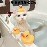 смишнявка делает деньги