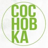 Институт СосновКа