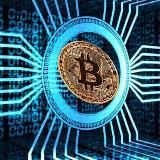 Crypto Drop Scout🚀